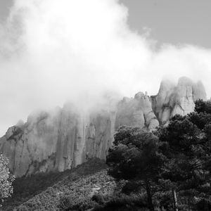 View of trees on mountain