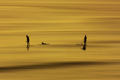 Silhouette birds flying against sky during sunset