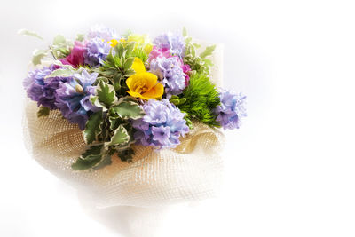 Close-up of bouquet against white background