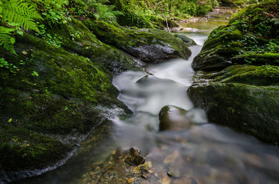 Stream flowing through rocks in forest