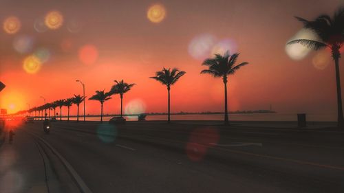 Street by palm trees against sky during sunset