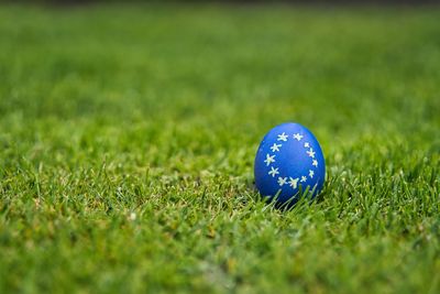 Close-up of golf ball on grass