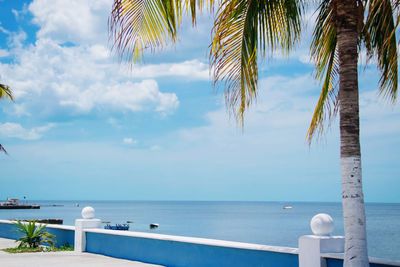 Scenic view of marine and ocean against sky