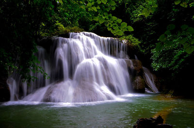 Scenic view of waterfall in forest