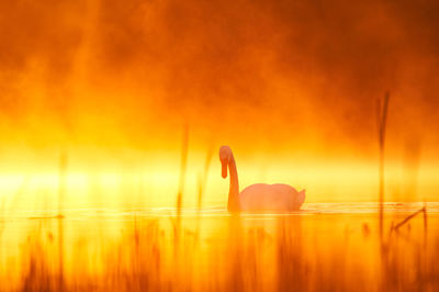 People at sunset
