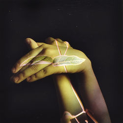 Close-up of hand holding leaf over black background