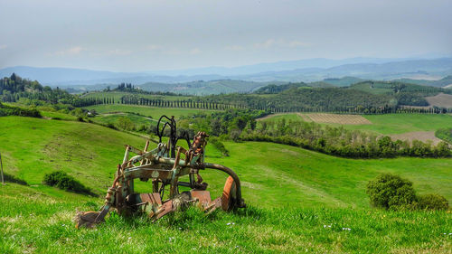 Scenic view of grassy field against sky