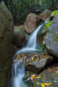 View of waterfall in forest