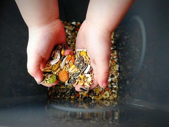 Cropped image of girl holding various seeds over container