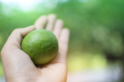 Close-up of hand holding fruit