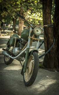 Vintage car against trees