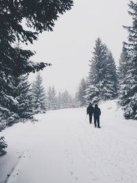 Scenic view of snow covered landscape