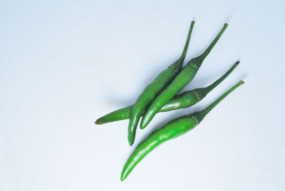 Close-up of green chili pepper against white background