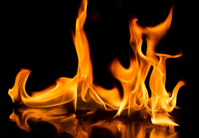 Close-up of bonfire at night