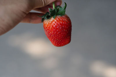 Close-up of hand holding strawberry