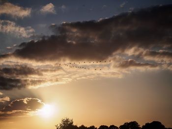 Low angle view of flock of birds in sky during sunset