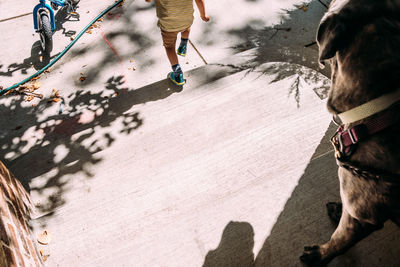 Young boy running down stairs outside to go for a walk