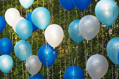 Multi colored balloons against blue sky