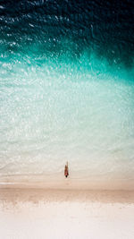 People enjoying on beach