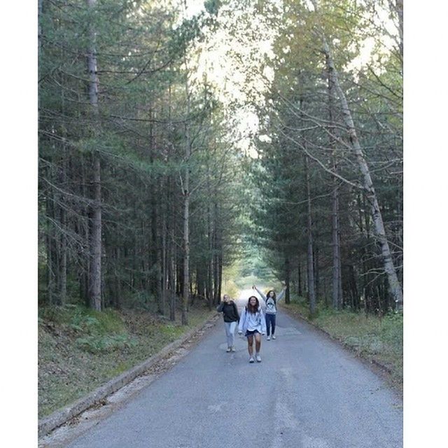 tree, the way forward, rear view, full length, transportation, lifestyles, men, walking, road, forest, leisure activity, transfer print, diminishing perspective, auto post production filter, vanishing point, dirt road, person