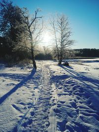 Bare trees on snow covered field against sky