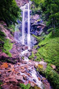 Waterfall in forest