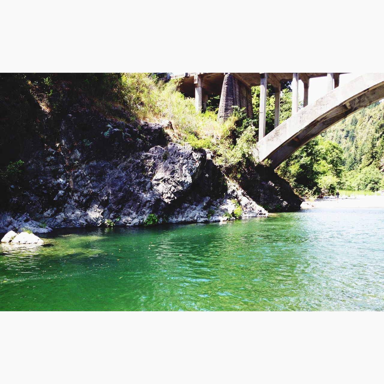 transfer print, water, auto post production filter, tree, waterfront, built structure, nature, river, architecture, bridge - man made structure, beauty in nature, tranquility, scenics, day, plant, growth, outdoors, green color, rippled, tranquil scene