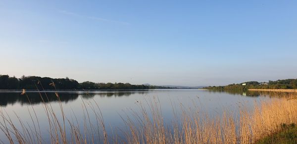 Scenic view of lake against clear sky