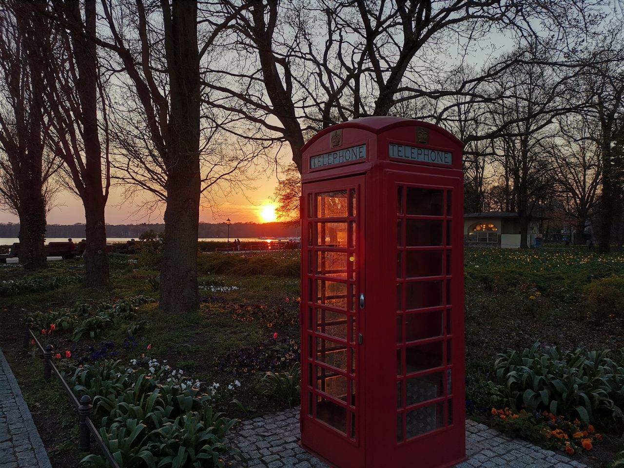 RED TELEPHONE BOOTH BY TREES AGAINST SKY DURING SUNSET