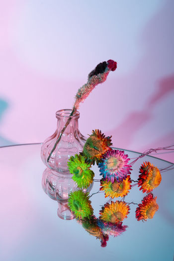 Close-up of flowers on table against wall