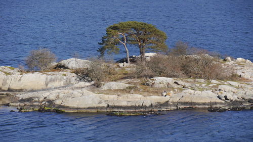 Scenic view of little island with growing tree 