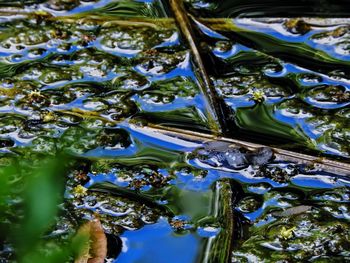 Close-up of rippled water in lake