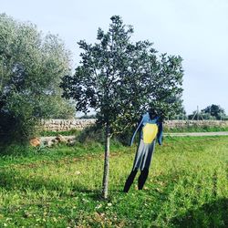 Low angle view of tree against sky