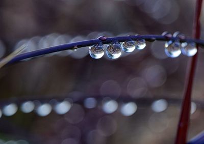 Close-up of waterdrops on water drops