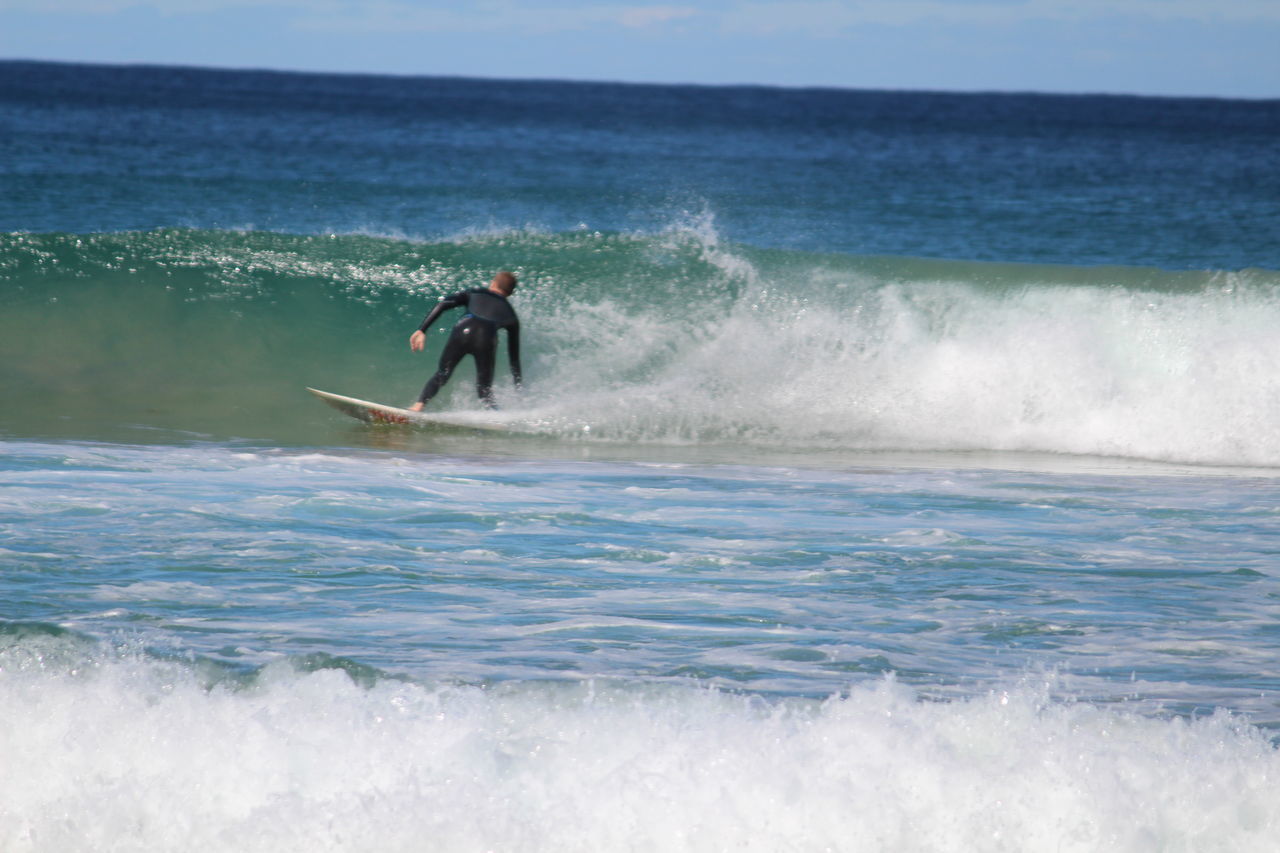 REAR VIEW OF MAN SURFING ON SEA