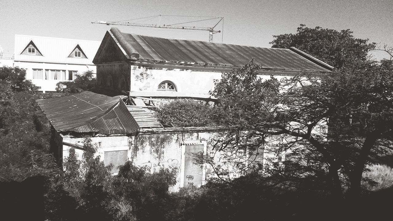 building exterior, architecture, built structure, tree, house, low angle view, church, residential structure, sky, religion, residential building, place of worship, clear sky, building, roof, outdoors, day, spirituality, no people