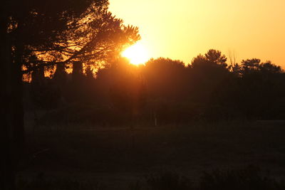 Silhouette trees in forest against sky during sunset