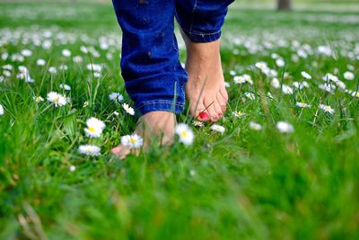 Low section of man standing on grassy field