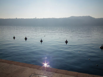 Birds perching on lake against sky