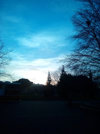 Bare trees against blue sky