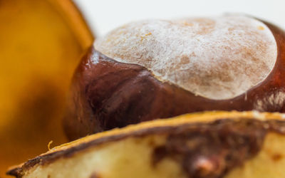 Close-up of bread