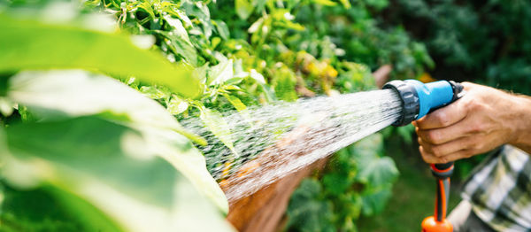 Cropped hand of man gardening