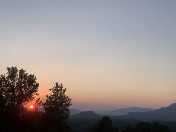 Silhouette trees against sky during sunset