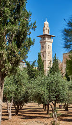 Trees and tower against blue sky