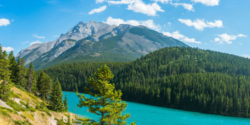 Scenic view of tree mountains against sky