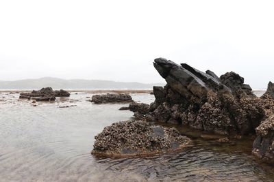 Scenic view of rock formation in sea against clear sky