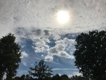 Low angle view of silhouette trees against sky