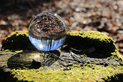 Close-up of crystal ball on field