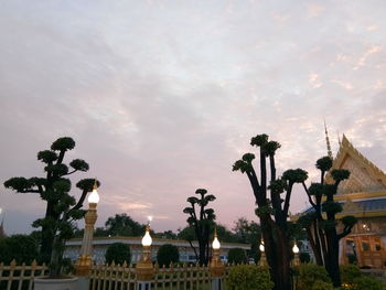 Palm trees against sky in city