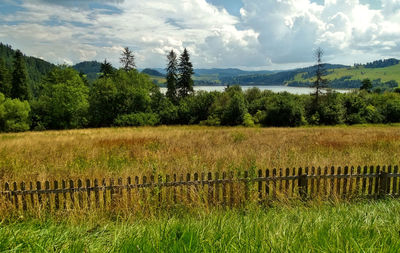 Scenic view of field against sky